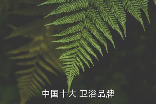 中國十大 衛(wèi)浴品牌