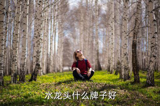 華藝衛(wèi)浴水龍頭閥芯,三聯(lián)式水龍頭連接冷熱管道和浴室淋浴噴頭