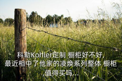 科勒Kohler定制 櫥柜好不好,最近相中了他家的凌煥系列整體 櫥柜,值得買嗎...