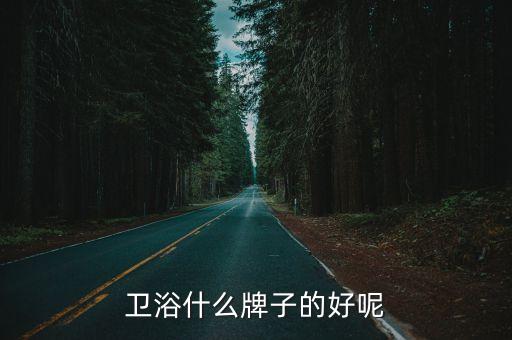 衛(wèi)浴什么牌子的好呢