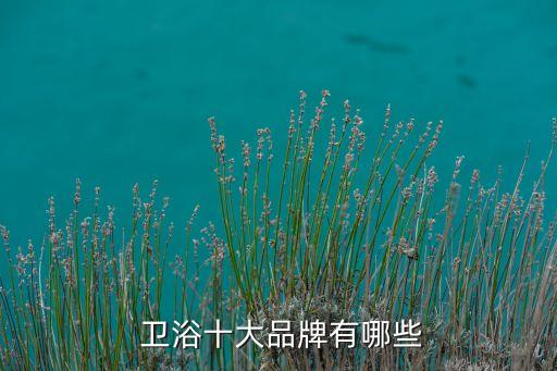 衛(wèi)浴行業(yè)轉(zhuǎn)型,年度衛(wèi)浴榜單出爐:朗鯨衛(wèi)浴排名前十