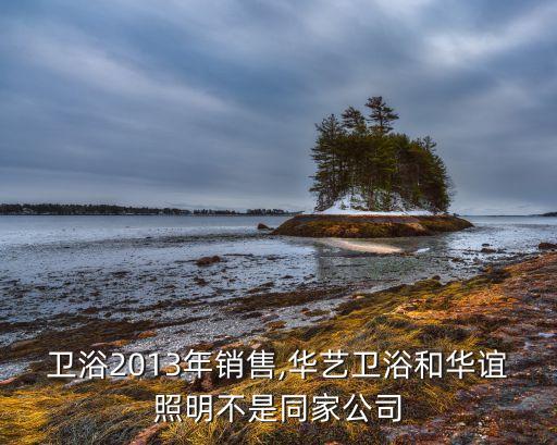 華藝衛(wèi)浴2013年銷售,華藝衛(wèi)浴和華誼照明不是同家公司