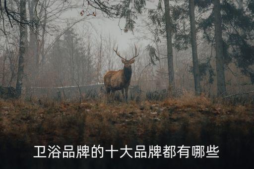 紅星美凱龍 英皇衛(wèi)浴,英皇衛(wèi)浴仿古浴室柜彰顯優(yōu)雅姿態(tài)
