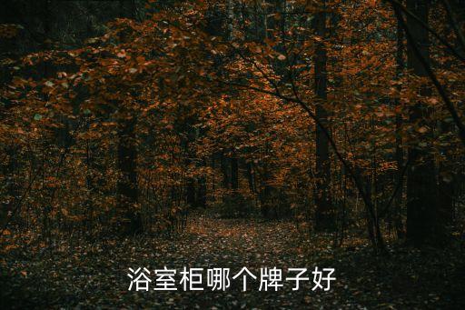 宜丹衛(wèi)浴,浴室柜哪個品牌好?新海伽藍(lán)淋浴房是一個知名品牌