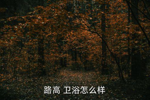 路高 衛(wèi)浴怎么樣