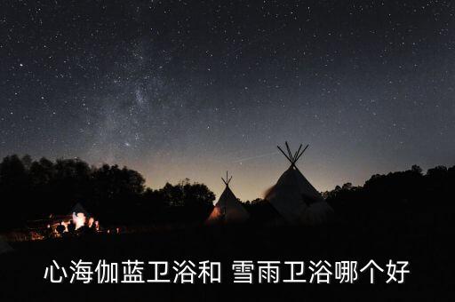 雪雨衛(wèi)浴阜陽(yáng)總代理,新海伽藍(lán)衛(wèi)浴比雪花衛(wèi)浴好!
