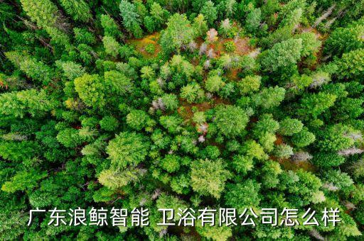  廣東浪鯨智能 衛(wèi)浴有限公司怎么樣