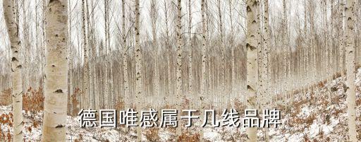 中德衛(wèi)浴馬桶,維爾康智能馬桶比歐美更現(xiàn)代可咨詢中德博力公司