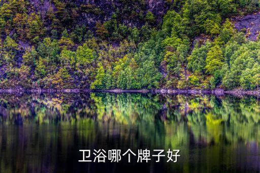 成都九牧衛(wèi)浴招工電話,中國電力市場如何復(fù)蘇?