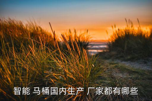 成都衛(wèi)浴馬桶廠家,馬桶品牌榜前三名包括美標(biāo)、toto、惠達(dá)