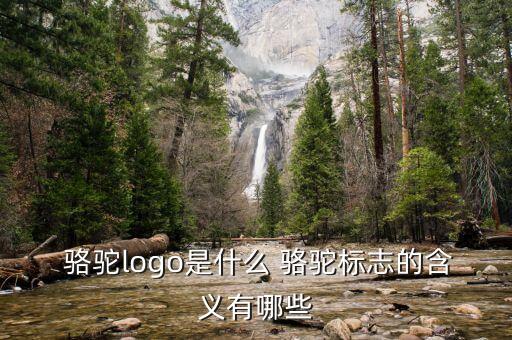  駱駝logo是什么 駱駝標(biāo)志的含義有哪些