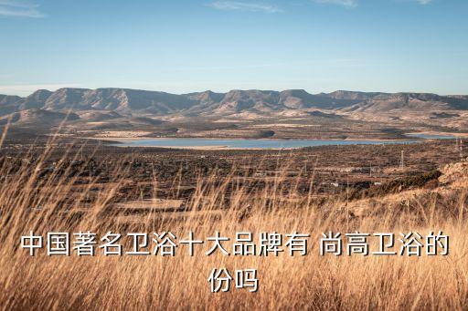 中國著名衛(wèi)浴十大品牌有 尚高衛(wèi)浴的份嗎