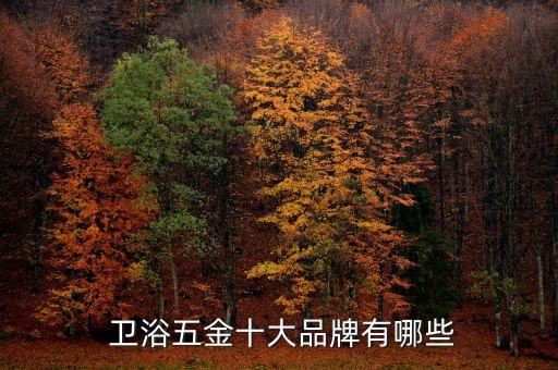  衛(wèi)浴五金十大品牌有哪些