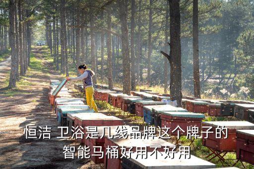  恒潔 衛(wèi)浴是幾線品牌這個(gè)牌子的 智能馬桶好用不好用