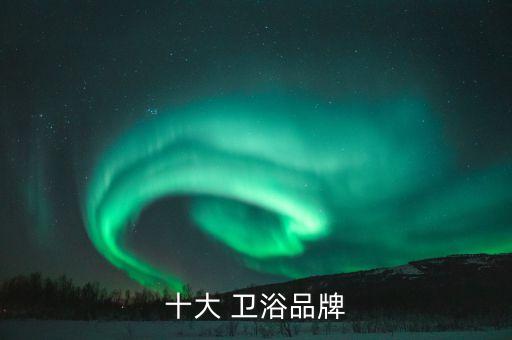 十大 衛(wèi)浴品牌