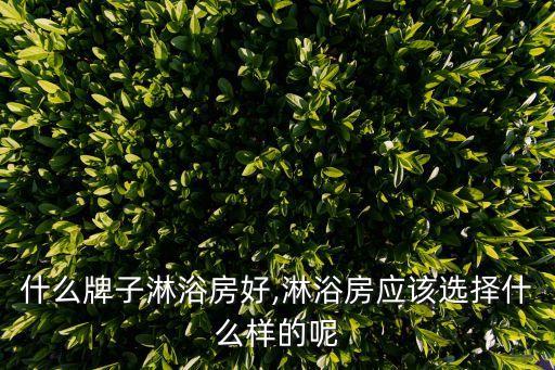什么牌子淋浴房好,淋浴房應(yīng)該選擇什么樣的呢