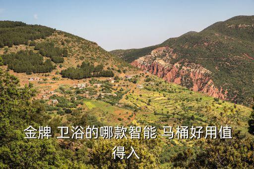 金牌馬桶衛(wèi)浴價(jià)格表,科勒衛(wèi)浴價(jià)格透明公開售賣過程如何透明