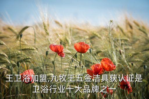 九牧王衛(wèi)浴加盟,九牧王五金潔具獲認(rèn)證是衛(wèi)浴行業(yè)十大品牌之一