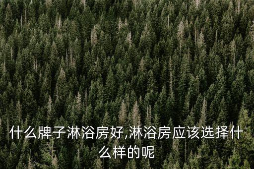 迪瑪衛(wèi)浴 蘇州,2011年十大熱門淋浴房品牌排行出爐