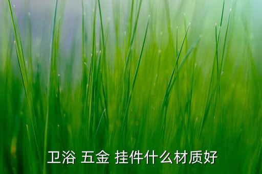  衛(wèi)浴 五金 掛件什么材質(zhì)好