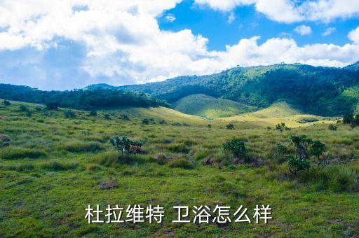 杜拉維特 衛(wèi)浴怎么樣