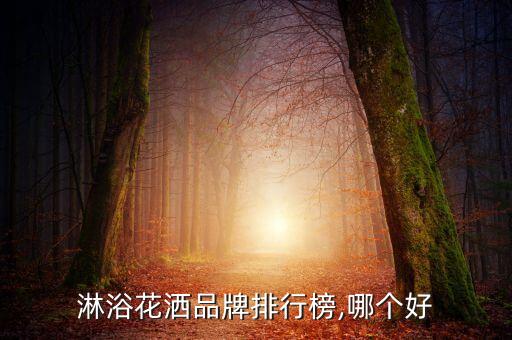 淋浴花灑品牌排行榜,哪個好