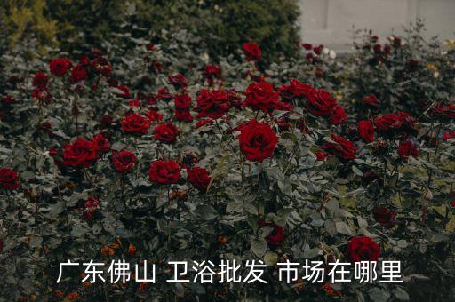  廣東佛山 衛(wèi)浴批發(fā) 市場在哪里