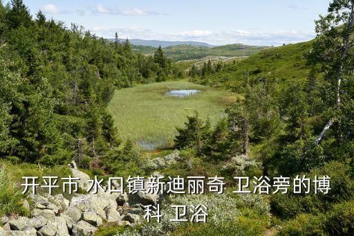 開平市 水口鎮(zhèn)新迪麗奇 衛(wèi)浴旁的博科 衛(wèi)浴