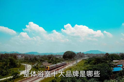 科逸衛(wèi)浴設(shè)備有限公司,科逸衛(wèi)浴采用smc材質(zhì)耐磨防滑易清洗