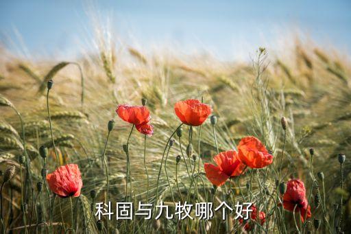 九牧衛(wèi)浴的賣點,高檔衛(wèi)浴選九牧價值更高