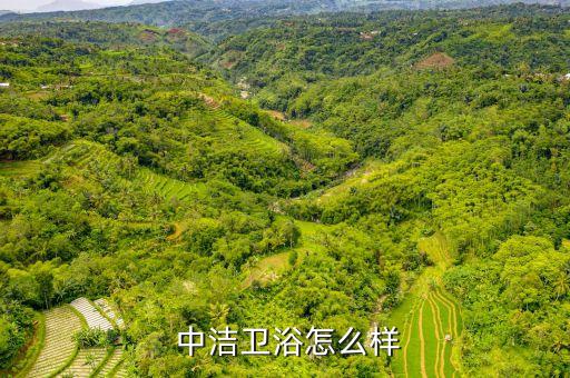  中潔衛(wèi)浴怎么樣