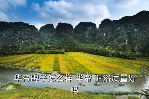 華帝衛(wèi)浴跟華帝關(guān)系,華帝衛(wèi)浴不含水槽快遞馬桶質(zhì)量挺好的