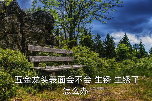  五金龍頭表面會(huì)不會(huì) 生銹 生銹了怎么辦