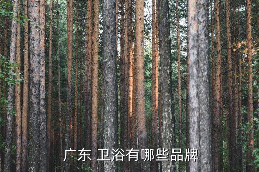 廣東衛(wèi)浴展銷會,本地衛(wèi)浴產(chǎn)品價格如何走向下跌?