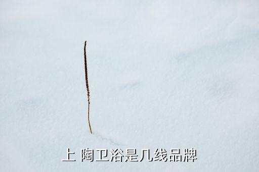上 陶衛(wèi)浴是幾線品牌