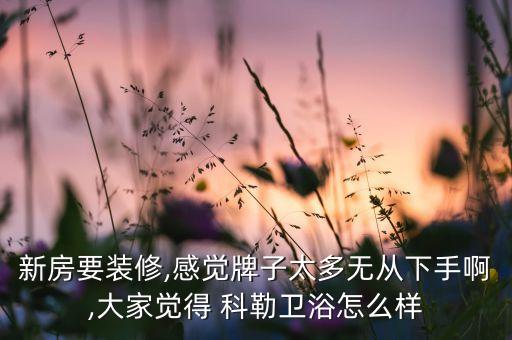 新房要裝修,感覺牌子太多無從下手啊,大家覺得 科勒衛(wèi)浴怎么樣