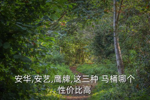 安華衛(wèi)浴馬桶照片,我家買了安華馬桶圈三處被洗潔精染成藍色