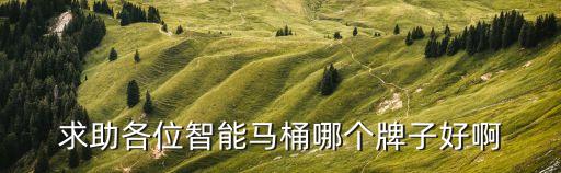 箭牌衛(wèi)浴坐便器AB1116,箭牌馬桶1區(qū)別于ae1027