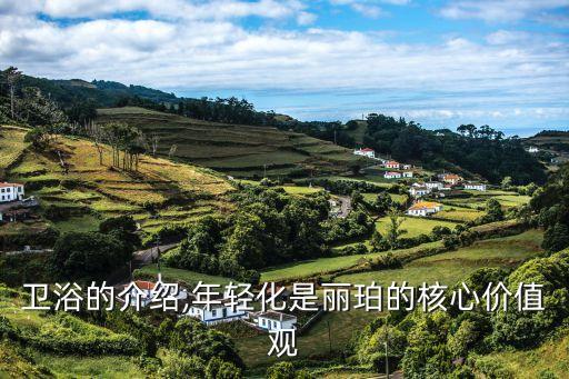 麗珀衛(wèi)浴的介紹,年輕化是麗珀的核心價值觀