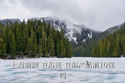 上海箭牌 衛(wèi)浴是 衛(wèi)浴產(chǎn)品前10強嗎
