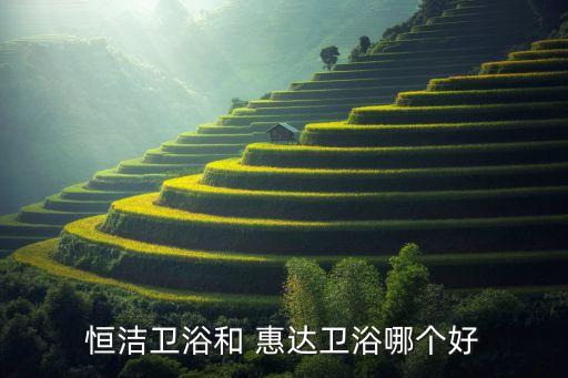 恒潔衛(wèi)浴和 惠達衛(wèi)浴哪個好