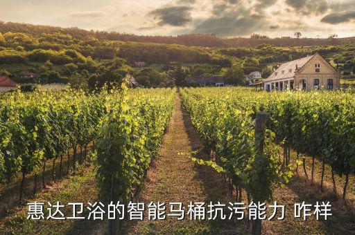  惠達(dá)衛(wèi)浴的智能馬桶抗污能力 咋樣
