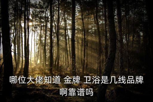 哪位大佬知道 金牌 衛(wèi)浴是幾線品牌啊靠譜嗎