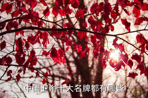 恒潔衛(wèi)浴公司,原o.o.史密斯中國區(qū)總裁偉偉加入恒潔衛(wèi)浴