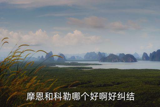  摩恩和科勒哪個好啊好糾結(jié)