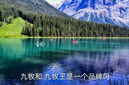 廣東九牧王衛(wèi)浴潔具有限公司,全球威浴潔具知名品牌之一
