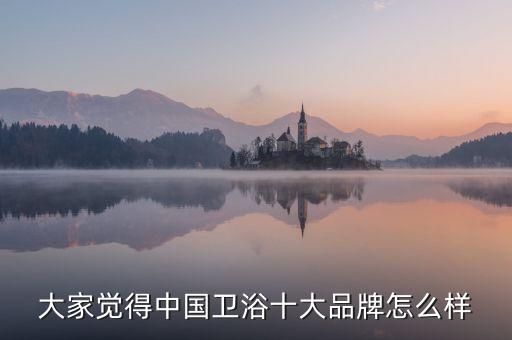 大家覺(jué)得中國(guó)衛(wèi)浴十大品牌怎么樣