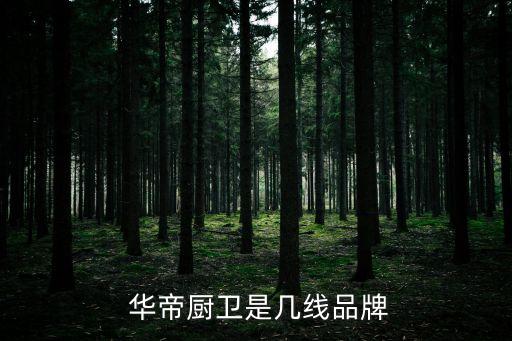  華帝廚衛(wèi)是幾線品牌