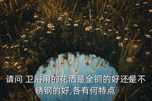 請問 衛(wèi)浴用的花灑是全銅的好還是不銹鋼的好,各有何特點(diǎn)