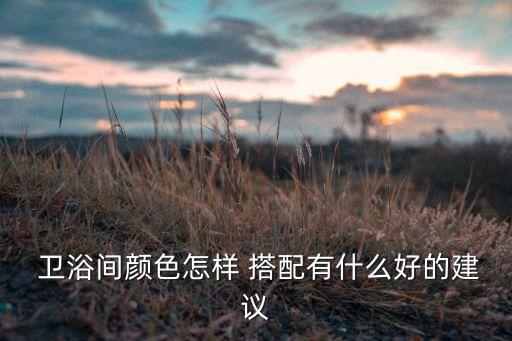  衛(wèi)浴間顏色怎樣 搭配有什么好的建議